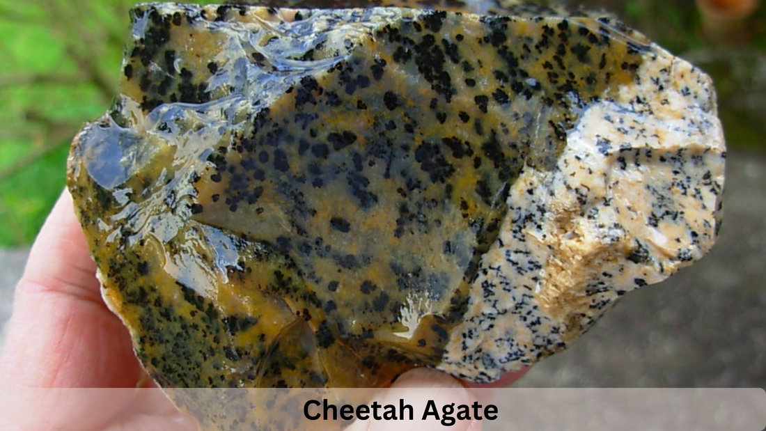 Cheetah Agate-The stone will connect you with the natural world