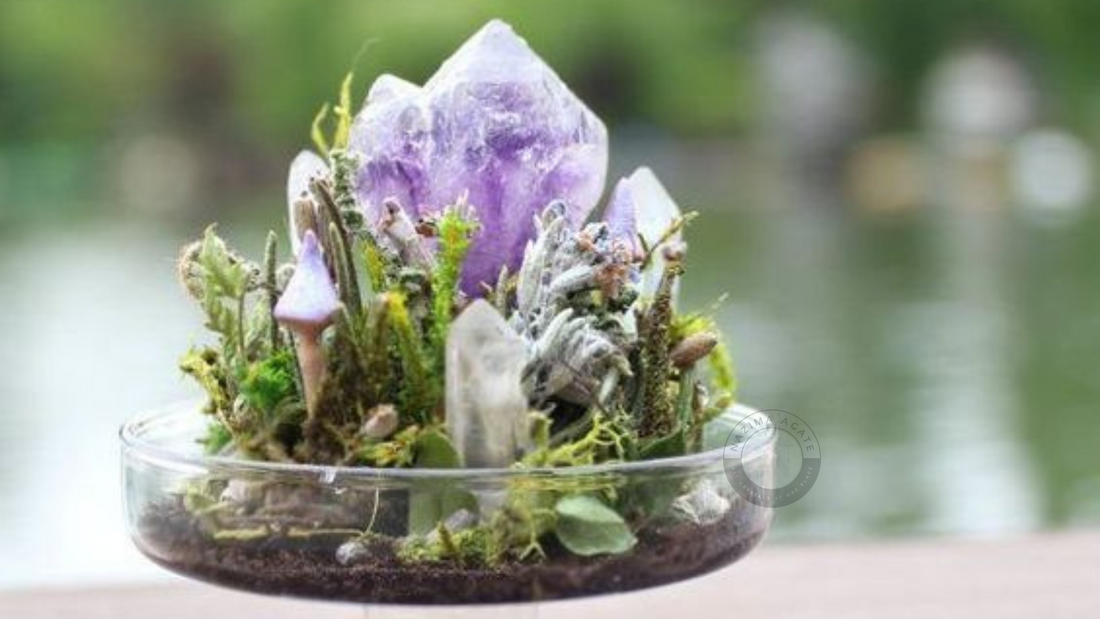 There are 12 crystals that are the best for plants in the garden and in the home