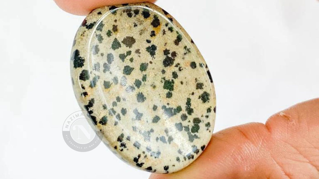 Dalmatian Jasper Worry Stone for Anxiety and Stress Relief