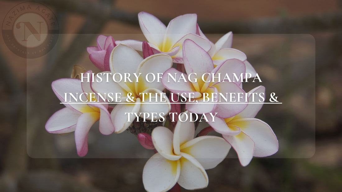 History Of Nag Champa Incense & The Use, Benefits & Types Today