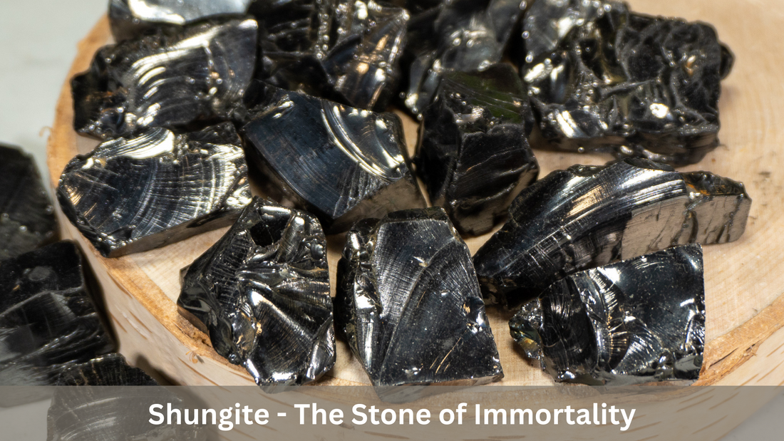 Shungite - The Stone of Immortality!