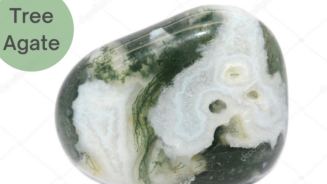 Tree Agate-The Gemstone of Nature