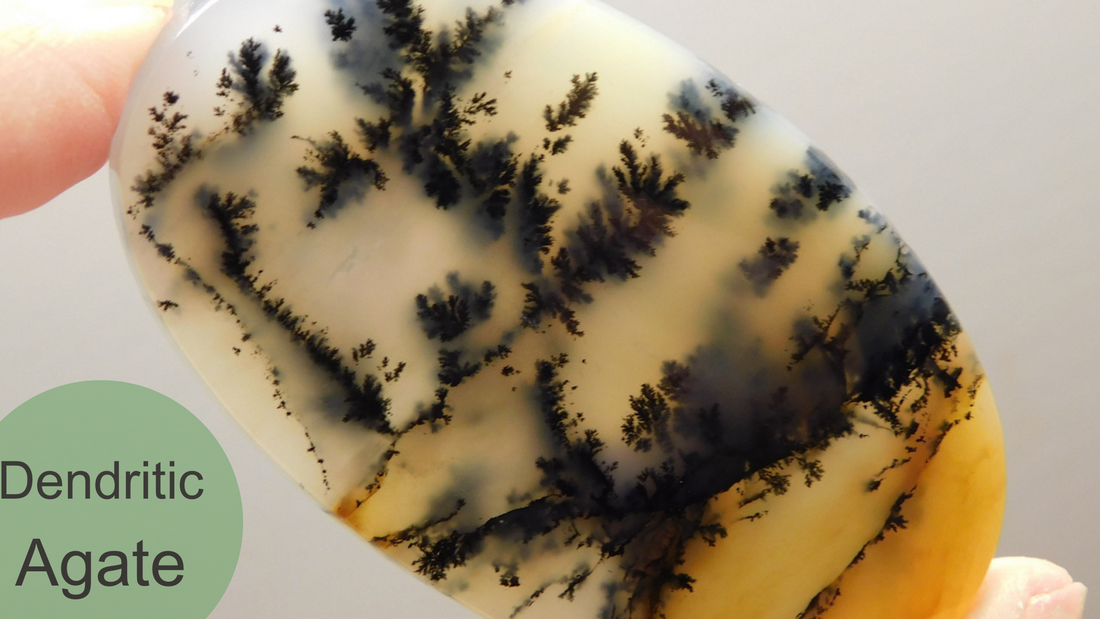 What is Dendritic Agate and How Can it Improve Your Life