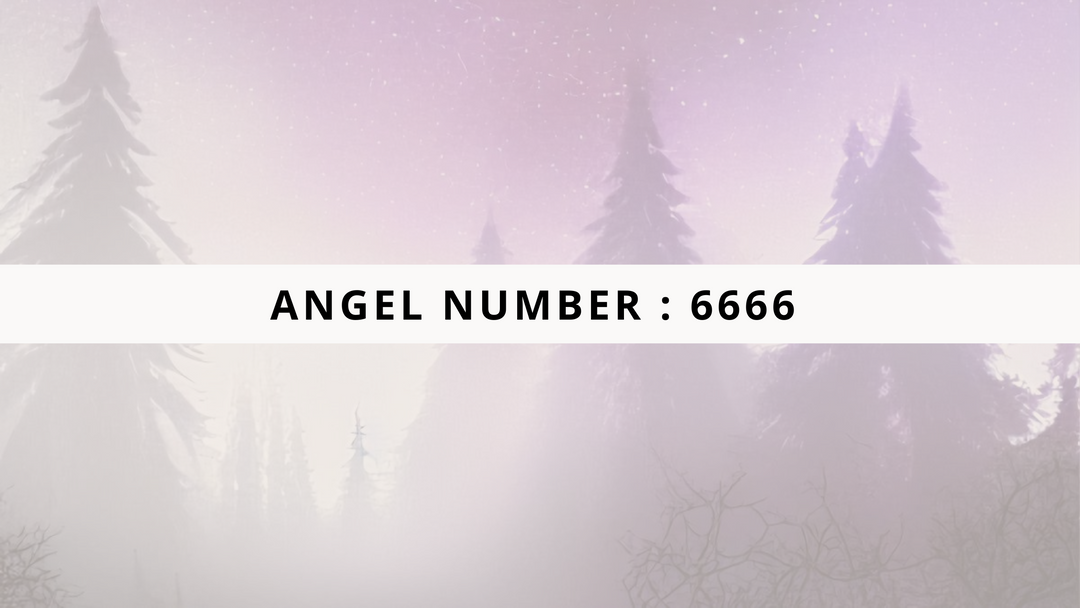 Your Love Life & 6666: Everything You Need To Know