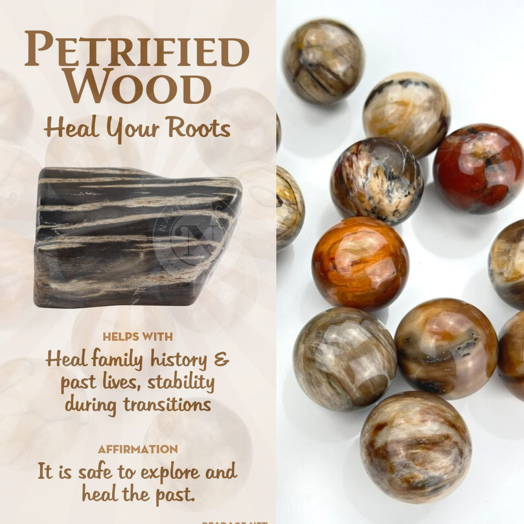 PETRIFIED WOOD LOOSE BEADS 8MM