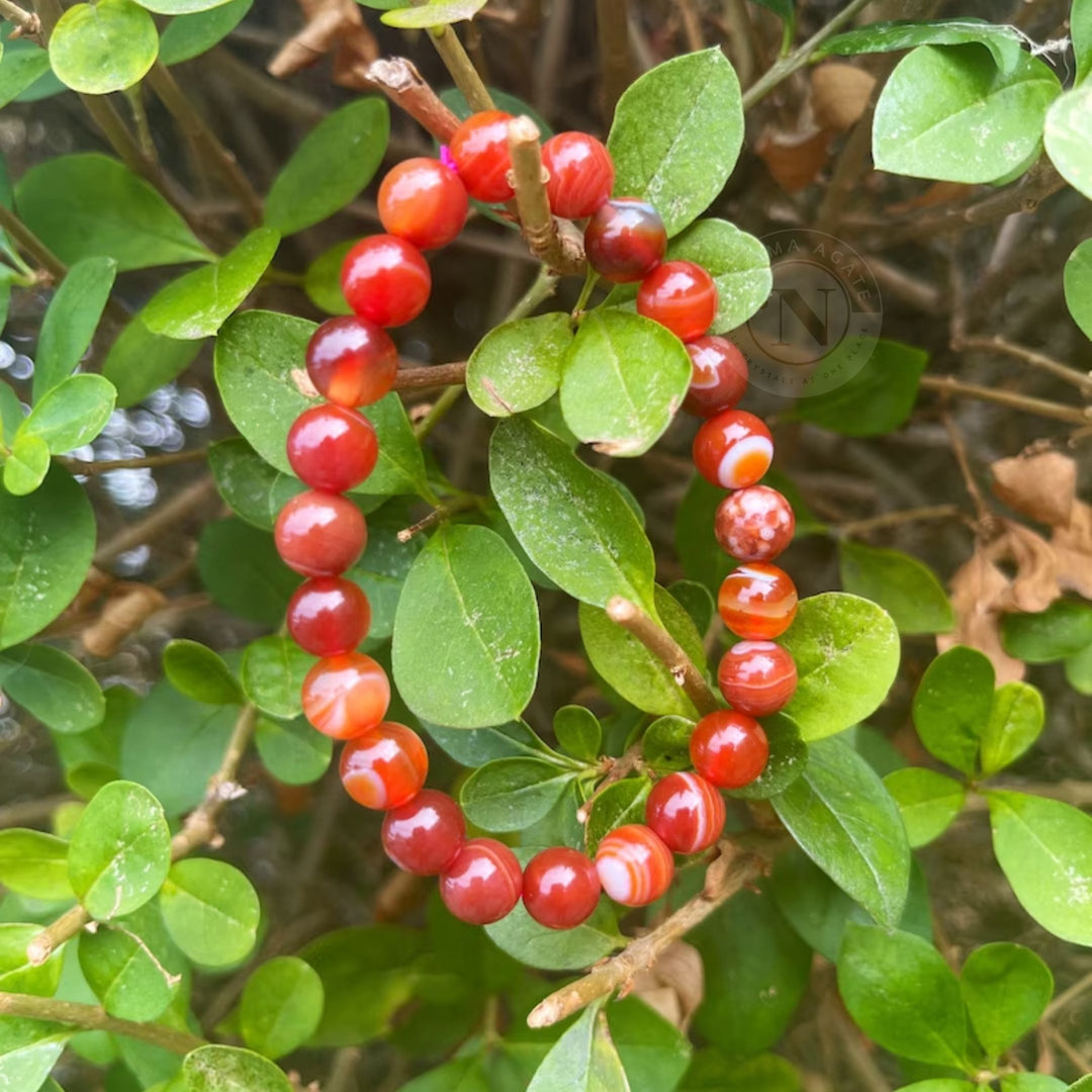 CARNELIAN ENERGY BRACELET 8MM